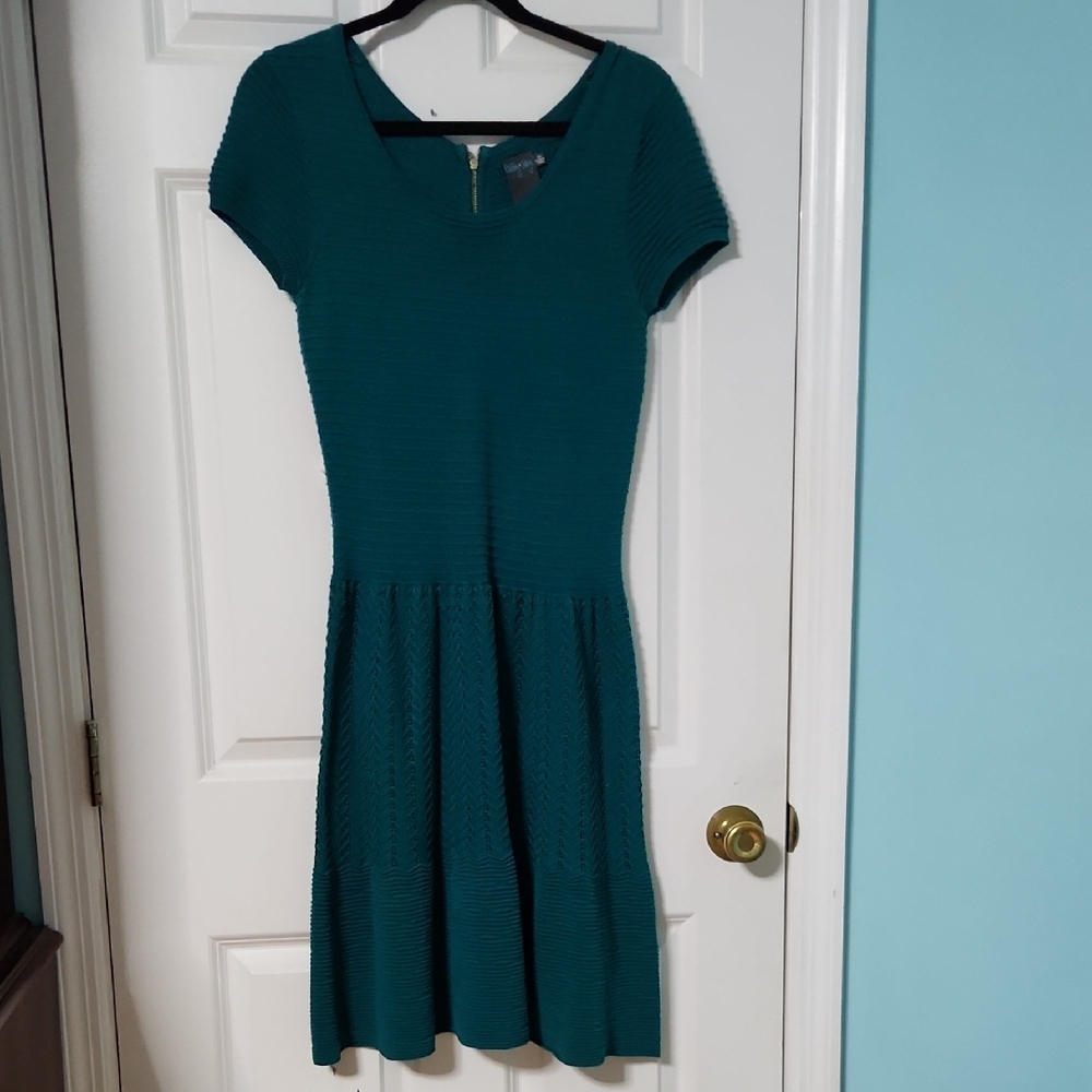 Gabby Skye Green Pleated Fit and Flare Dress